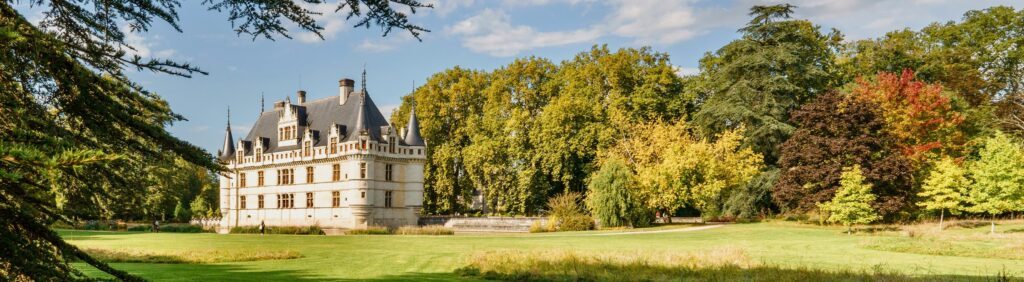 Instead of staying home alone, I'm going to explore the chateaux of France in celebration of becoming an empty nester.