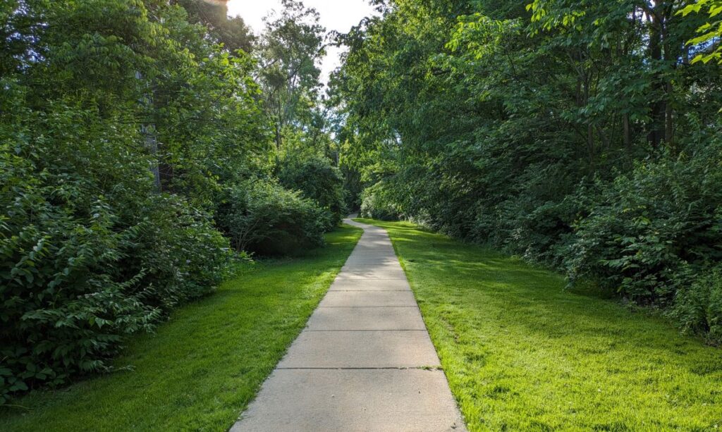 The quiet path through my neighborhood on a Sunday morning.